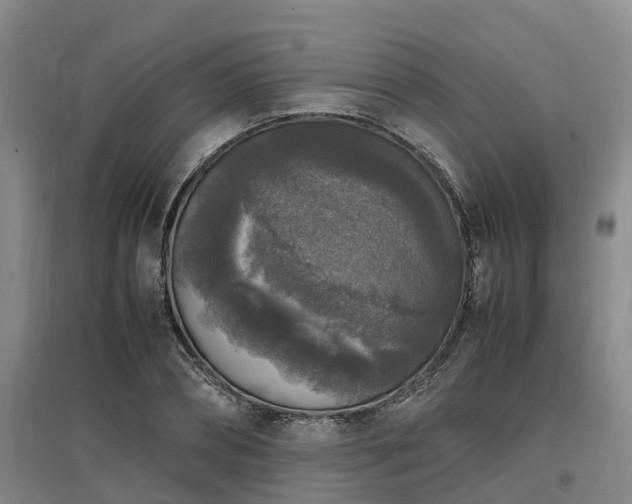 X0000097000882200802151412