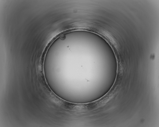 X0000097000883200802151412