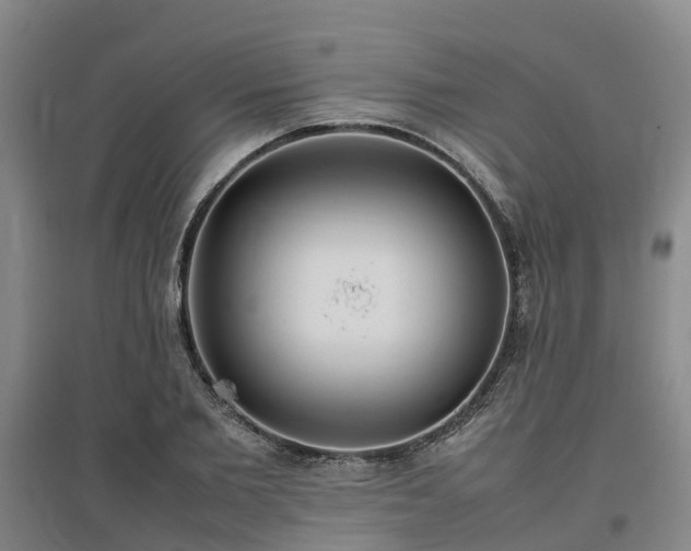 X0000097000885200802151412