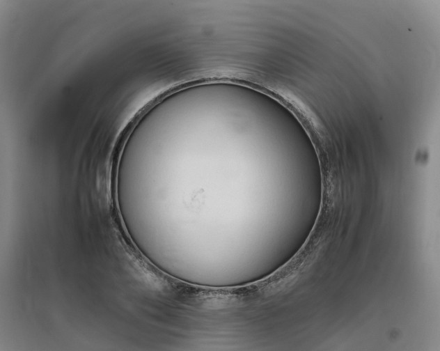 X0000097000886200802151412