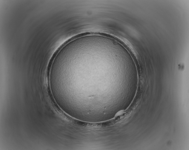X0000097000887200802151412