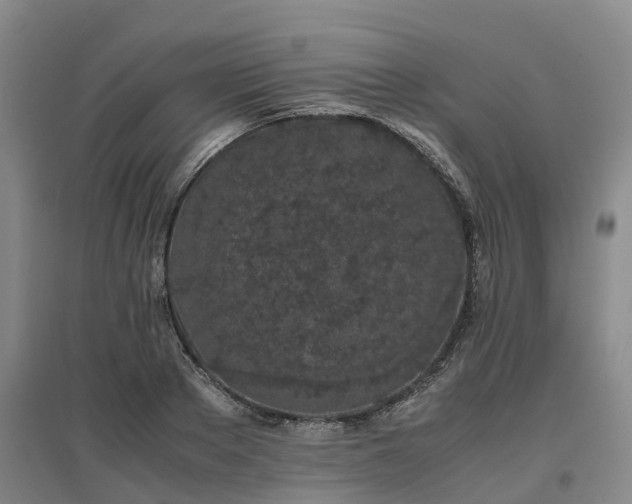 X0000097000889200802151412