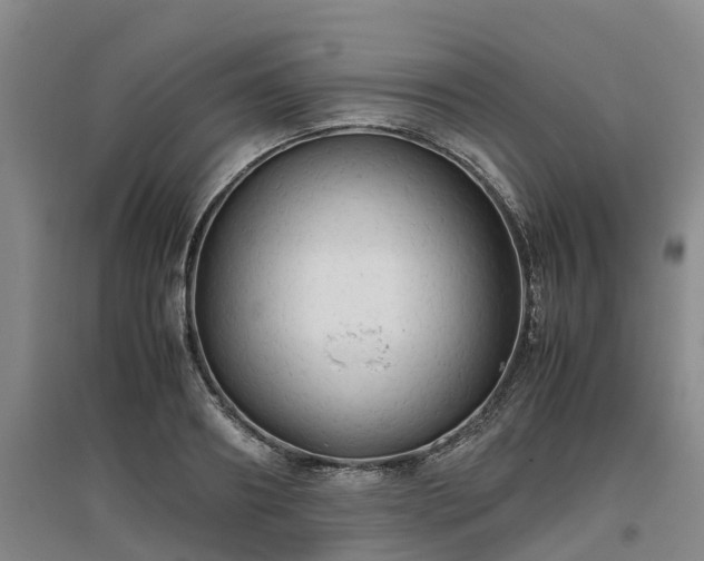 X0000097000890200802151412