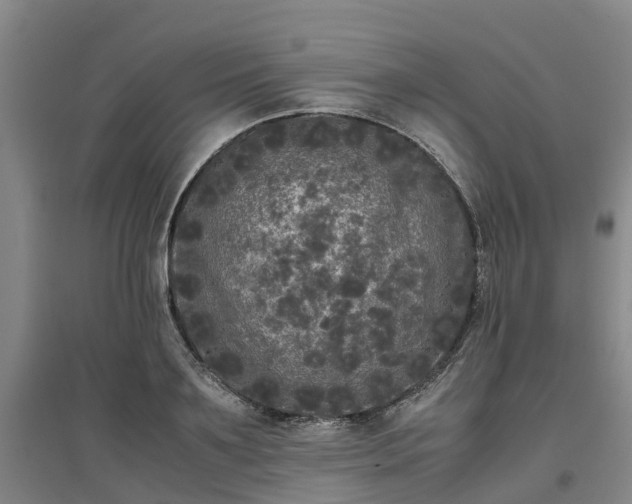 X0000097000891200802151412