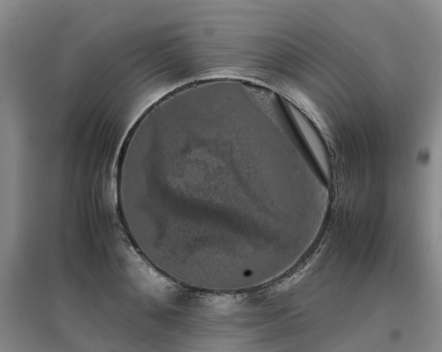 X0000097000892200802151412