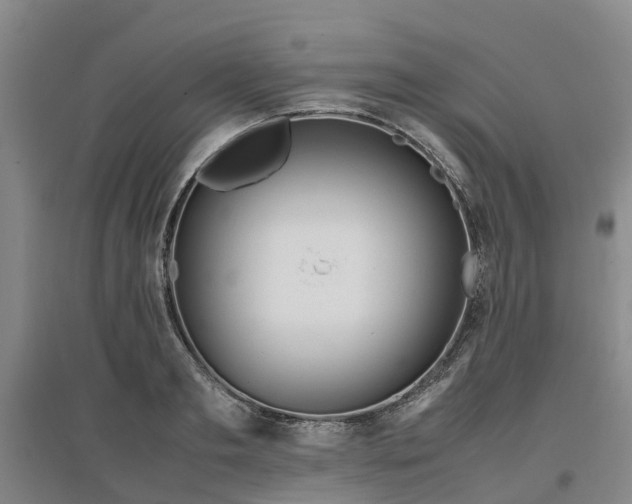 X0000097000893200802151412