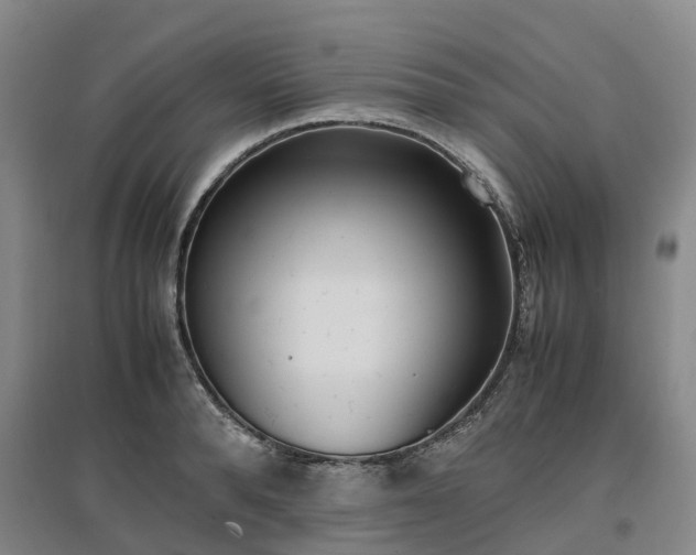 X0000097000896200802151412