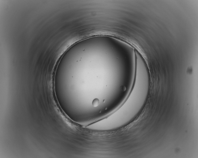 X0000097000898200802151412