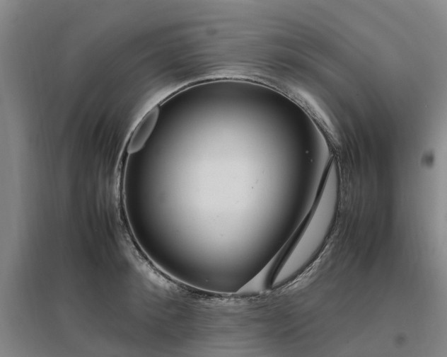 X0000097000900200802151412