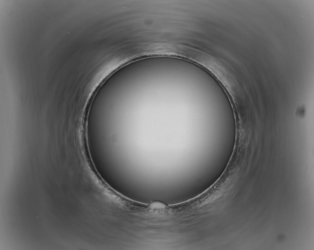 X0000097000901200802151412
