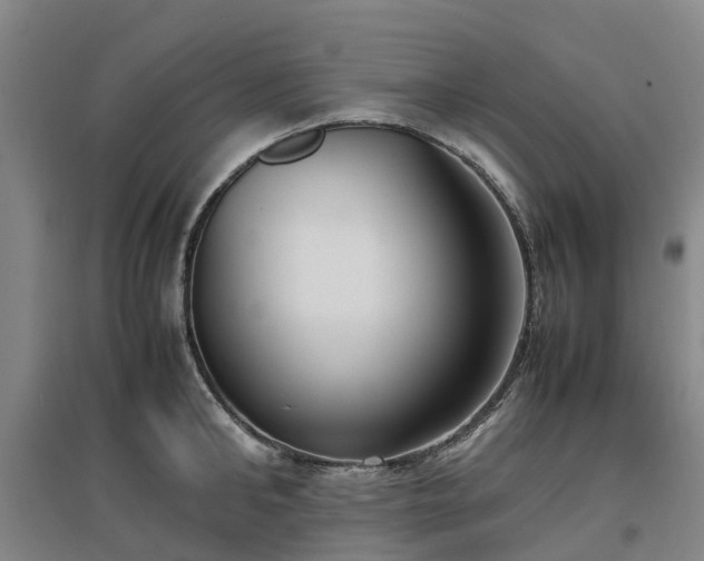 X0000097000902200802151412