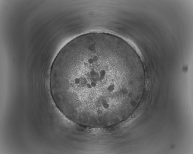 X0000097000903200802151412