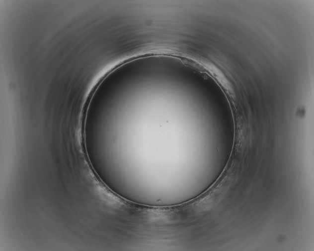 X0000097000904200802151412