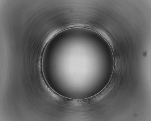 X0000097000906200802151412