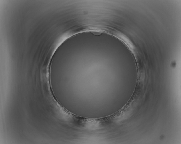 X0000097000907200802151412