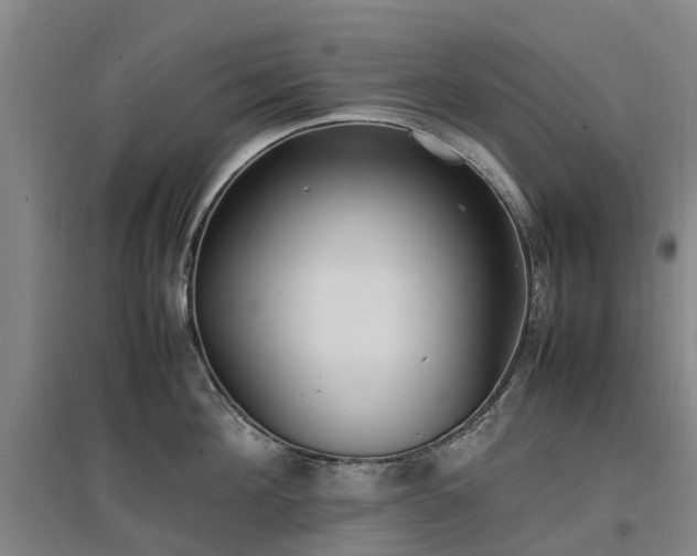 X0000097000908200802151411