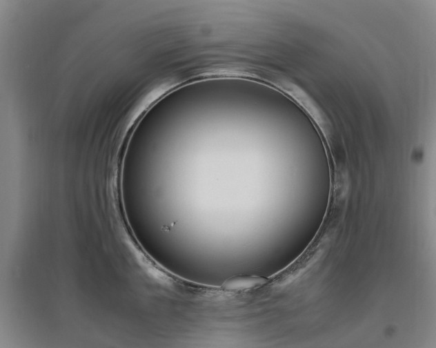 X0000097000909200802151411