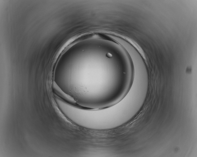 X0000097000911200802151411