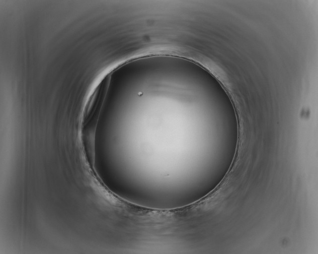 X0000097000912200802151411