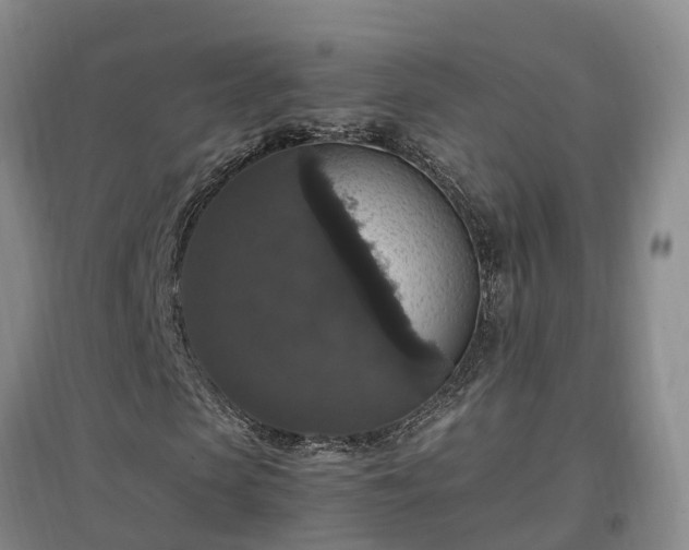 X0000097000913200802151411