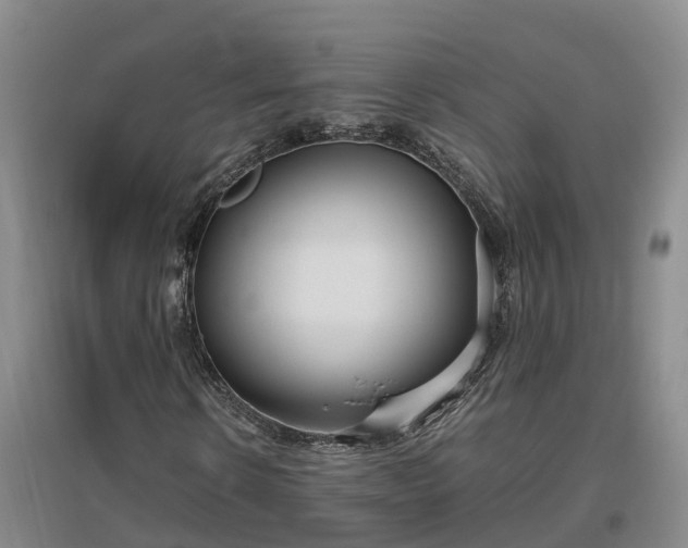 X0000097000914200802151411