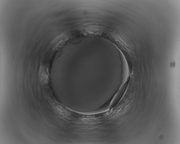 X0000097000915200802151411