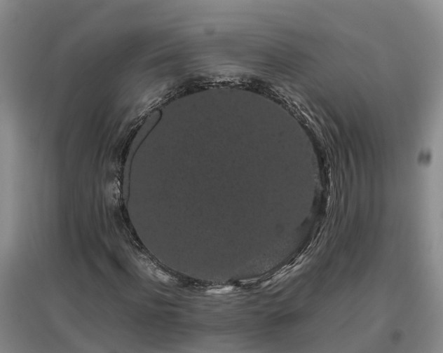 X0000097000916200802151411