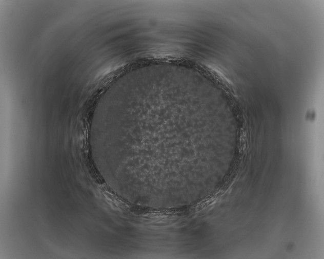 X0000097000917200802151411