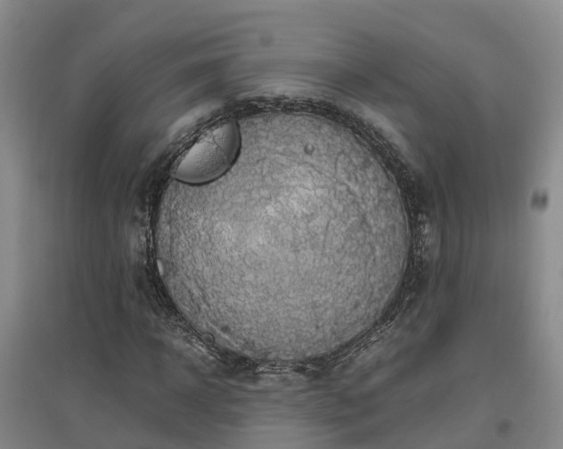 X0000097000918200802151411