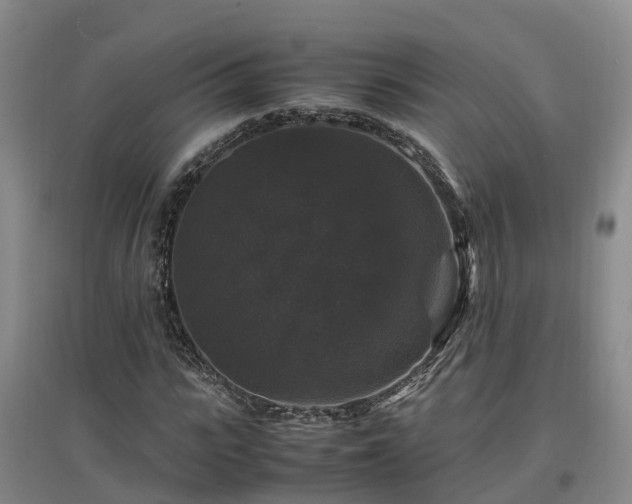 X0000097000919200802151411