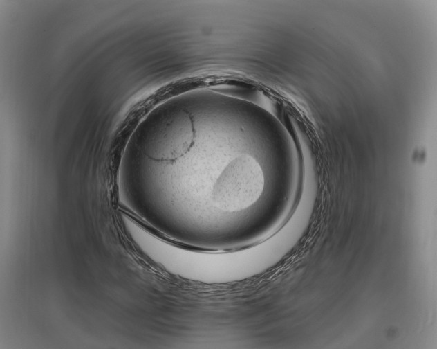 X0000097000920200802151411