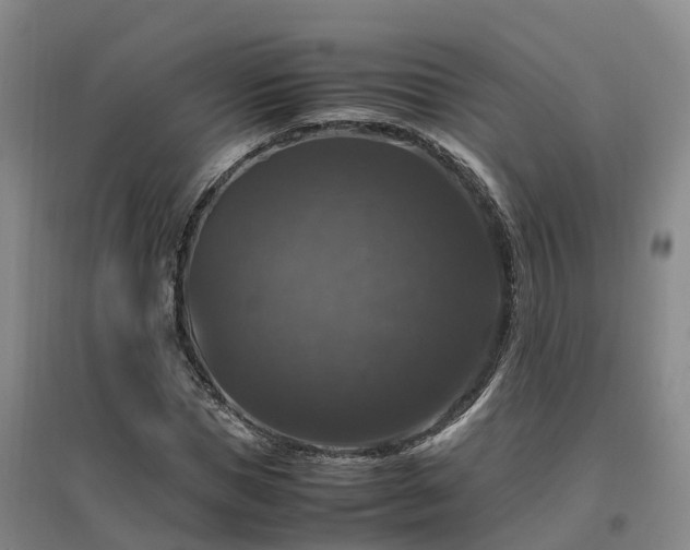 X0000097000921200802151411