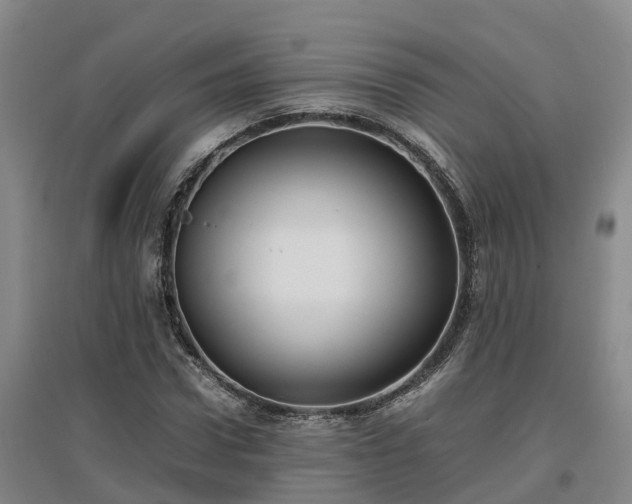X0000097000922200802151411