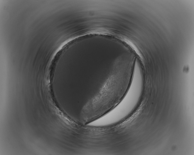 X0000097000923200802151411