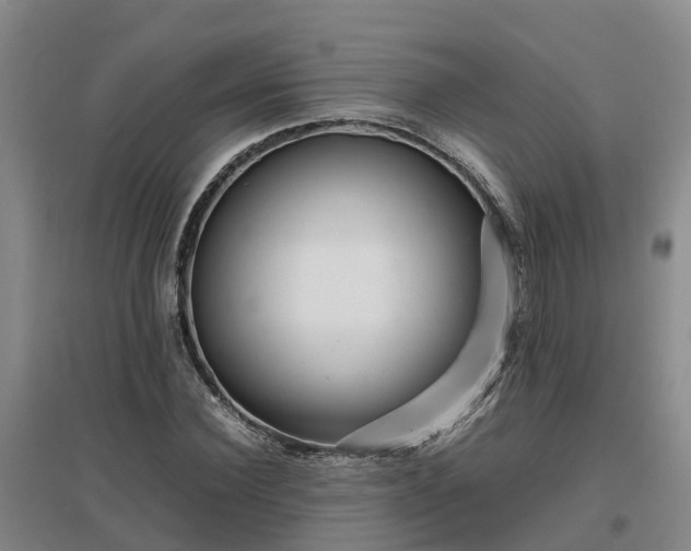X0000097000924200802151411