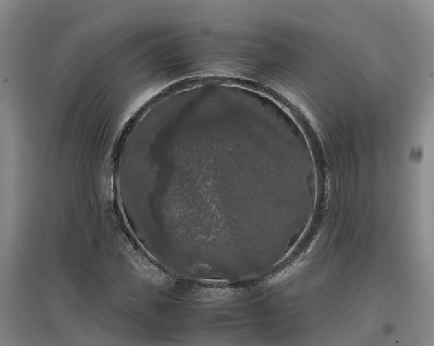 X0000097000925200802151411