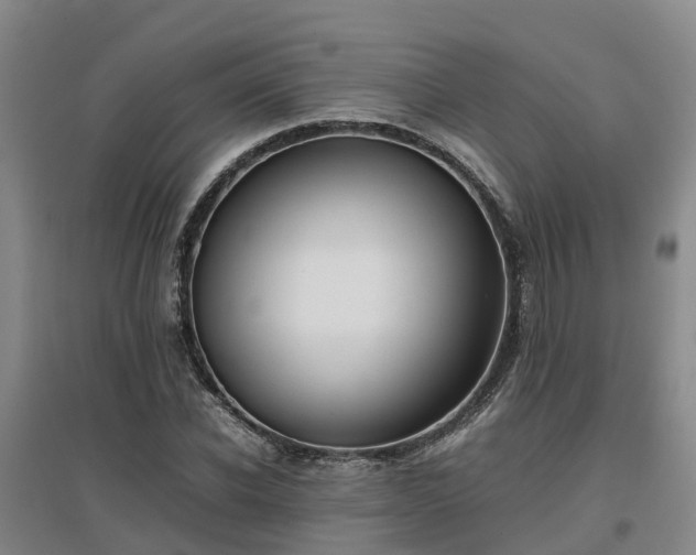 X0000097000926200802151411