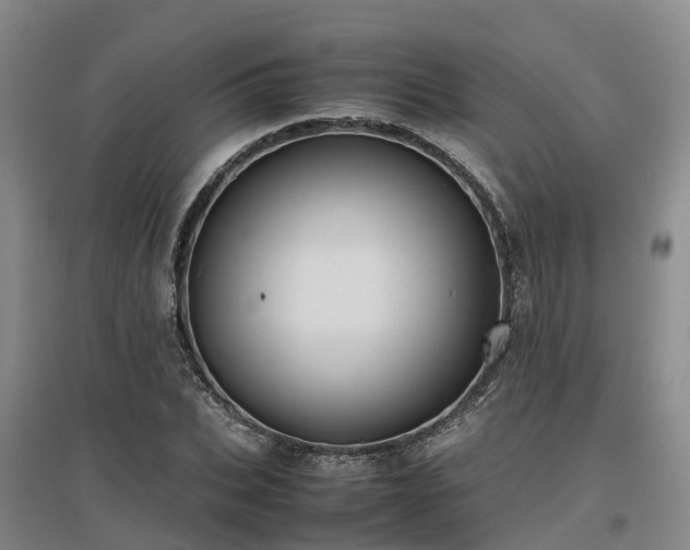 X0000097000927200802151411