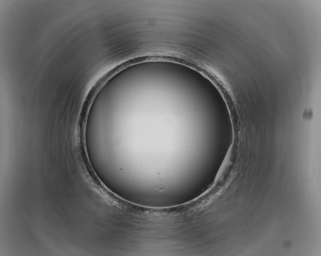 X0000097000928200802151411