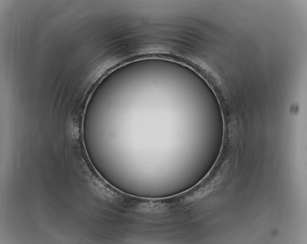 X0000097000929200802151411