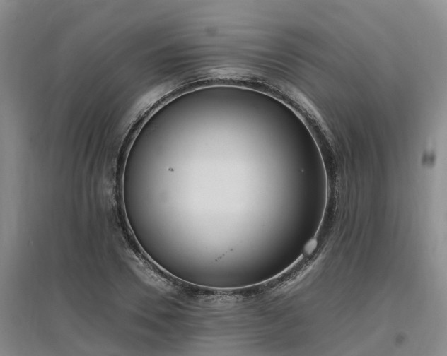 X0000097000930200802151411