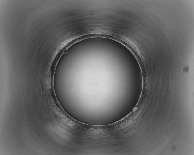 X0000097000931200802151411