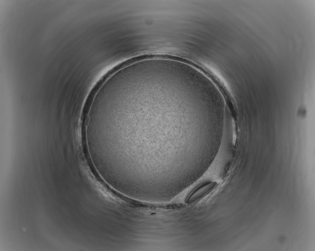X0000097000932200802151411