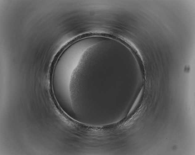 X0000097000935200802151411
