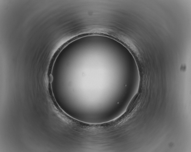 X0000097000936200802151411