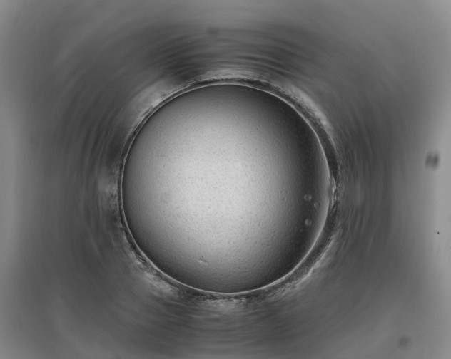 X0000097000937200802151411