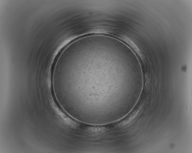 X0000097000939200802151411