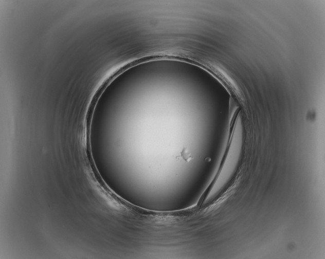 X0000097000940200802151411