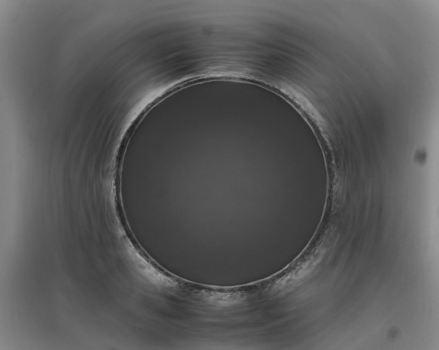 X0000097000941200802151411