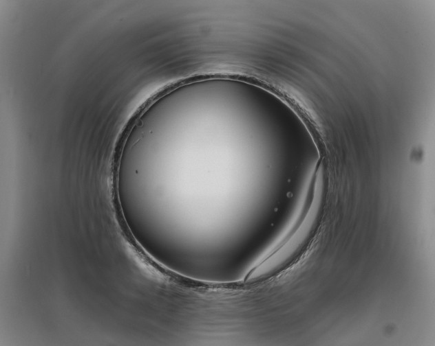 X0000097000942200802151411